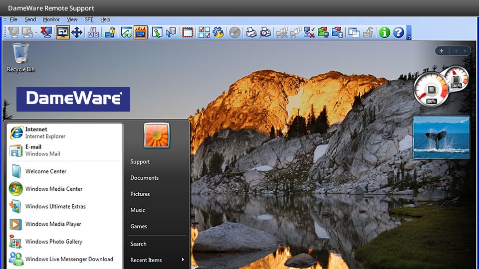 DameWare Remote Support